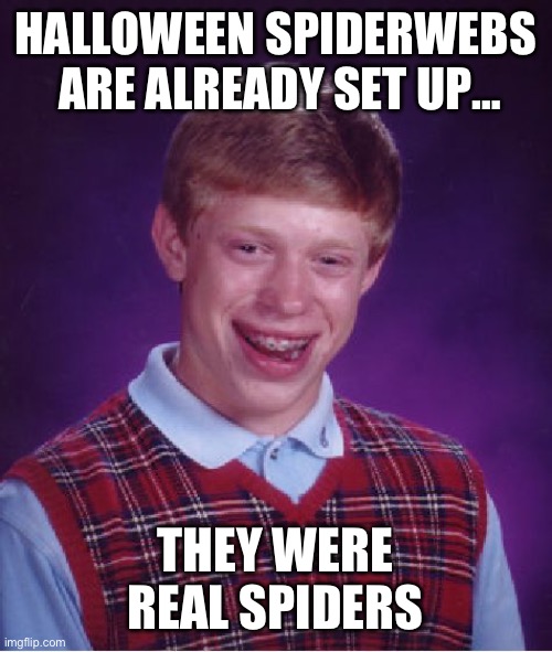 Bad Luck Brian Meme | HALLOWEEN SPIDERWEBS  ARE ALREADY SET UP…; THEY WERE REAL SPIDERS | image tagged in memes,bad luck brian | made w/ Imgflip meme maker