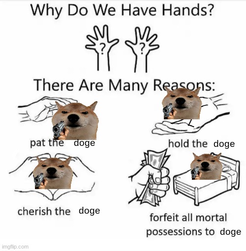 doge | doge; doge; doge; doge | image tagged in why do we have hands all blank,doge,funny,fun,goofy | made w/ Imgflip meme maker