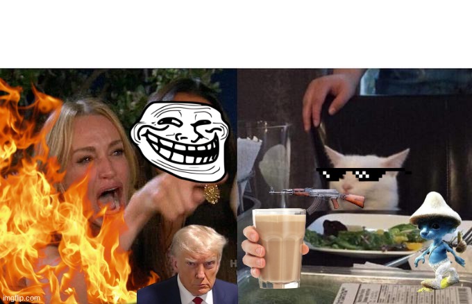 Woman Yelling At Cat Meme | image tagged in memes,woman yelling at cat | made w/ Imgflip meme maker