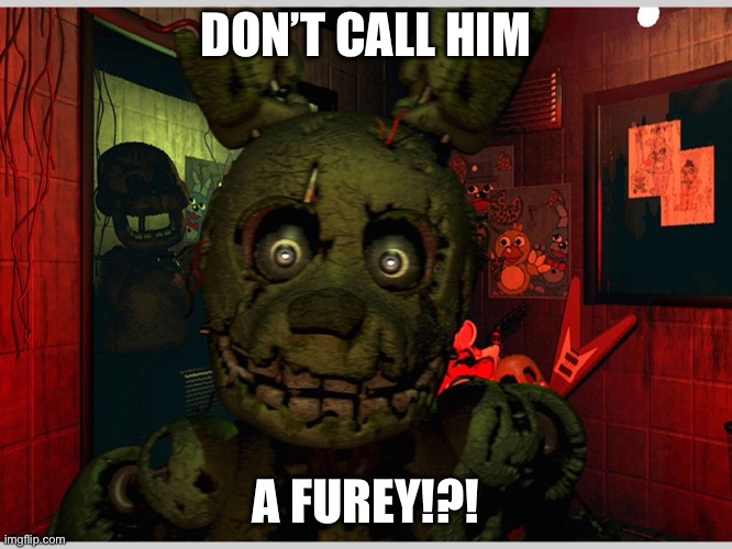 Spring trap  | DON’T CALL HIM A FUREY!?! | image tagged in spring trap | made w/ Imgflip meme maker