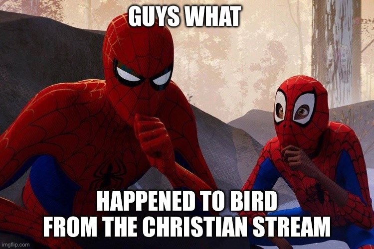 What happened to them | GUYS WHAT; HAPPENED TO BIRD FROM THE CHRISTIAN STREAM | image tagged in peter parker vs miles morales | made w/ Imgflip meme maker