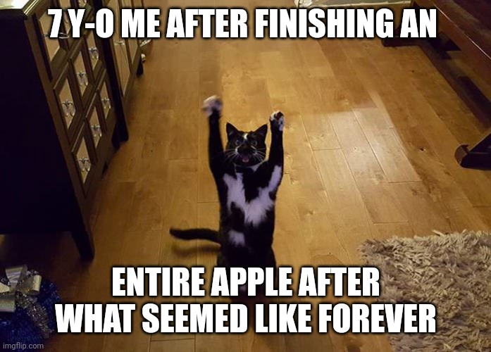 I Didn't Like Apples At the Time. | 7 Y-O ME AFTER FINISHING AN; ENTIRE APPLE AFTER WHAT SEEMED LIKE FOREVER | image tagged in yipeee cat | made w/ Imgflip meme maker