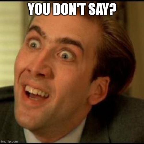 You dont say? | YOU DON'T SAY? | image tagged in you dont say | made w/ Imgflip meme maker