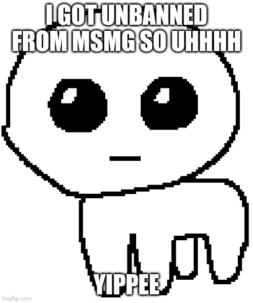 Yippee | I GOT UNBANNED FROM MSMG SO UHHHH; YIPPEE | image tagged in yippee | made w/ Imgflip meme maker