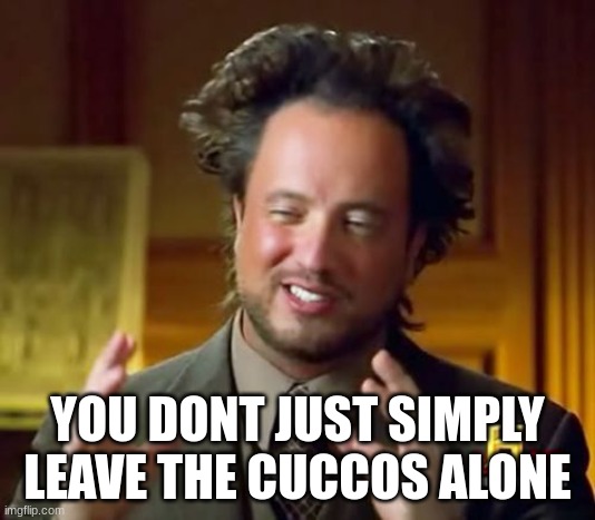 cuccos | YOU DONT JUST SIMPLY LEAVE THE CUCCOS ALONE | image tagged in legend of zelda | made w/ Imgflip meme maker