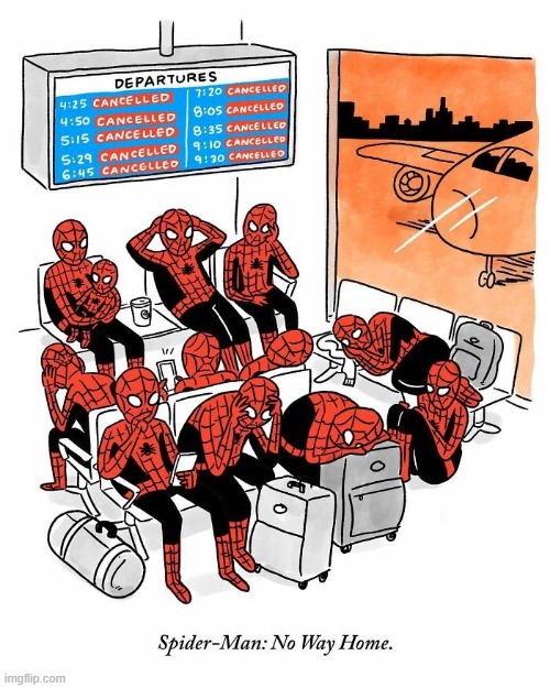 No Way Home | image tagged in spiderman | made w/ Imgflip meme maker
