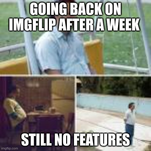 literally | GOING BACK ON IMGFLIP AFTER A WEEK; STILL NO FEATURES | image tagged in lol | made w/ Imgflip meme maker