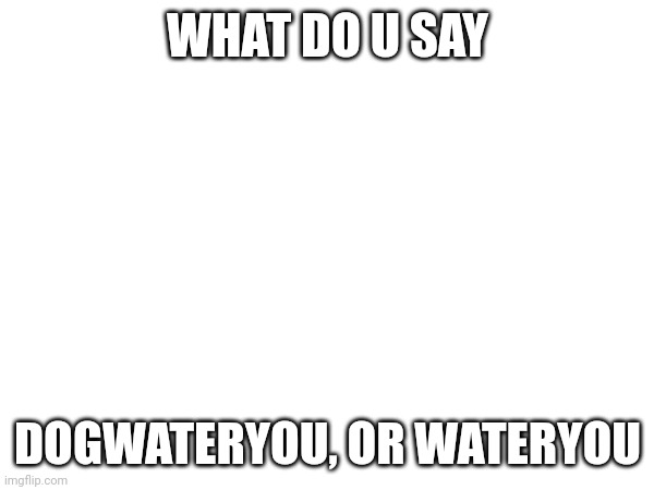 Mod note: I'd say "Dishwasher You" | WHAT DO U SAY; DOGWATERYOU, OR WATERYOU | image tagged in water,you,or,dog,wateryou | made w/ Imgflip meme maker