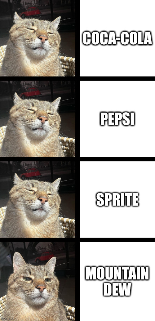 COCA-COLA PEPSI SPRITE MOUNTAIN DEW | image tagged in stepan cat | made w/ Imgflip meme maker