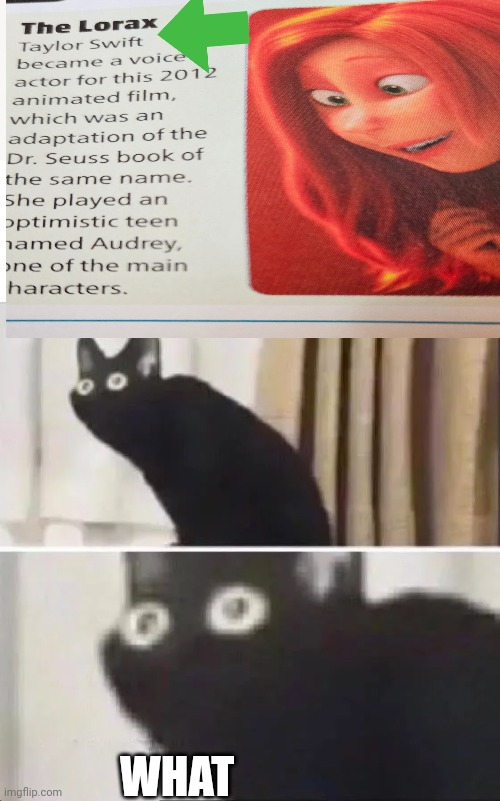 Uhh guys I did not see this coming | WHAT | image tagged in oh no black cat | made w/ Imgflip meme maker