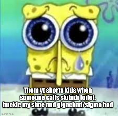 no cuz its so overrated and plus, they be actin like its the end of the world | Them yt shorts kids when someone calls skibidi toilet, buckle my shoe and gigachad/sigma bad | image tagged in skibidi toilet,buckle my shoe,yt shorts kids,cringe,overrated | made w/ Imgflip meme maker