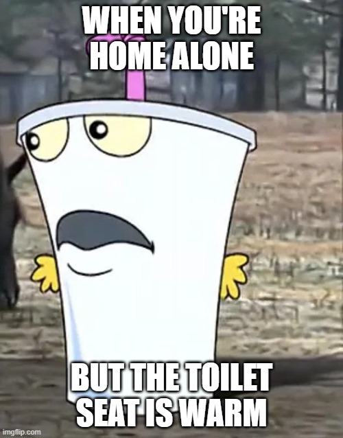 Master Shake Shocked | WHEN YOU'RE HOME ALONE; BUT THE TOILET SEAT IS WARM | image tagged in master shake shocked | made w/ Imgflip meme maker