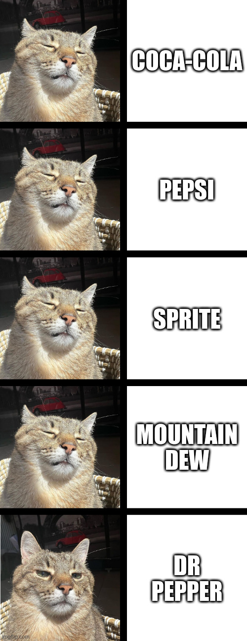 COCA-COLA PEPSI SPRITE MOUNTAIN DEW DR PEPPER | image tagged in stepan cat | made w/ Imgflip meme maker