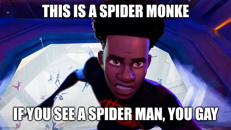 Spider-Man: Across The Spider-Verse Trailer Has Miles Morales, M | THIS IS A SPIDER MONKE; IF YOU SEE A SPIDER MAN, YOU GAY | image tagged in spider-man across the spider-verse trailer has miles morales m | made w/ Imgflip meme maker