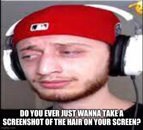 I can’t be the only one | DO YOU EVER JUST WANNA TAKE A SCREENSHOT OF THE HAIR ON YOUR SCREEN? | made w/ Imgflip meme maker