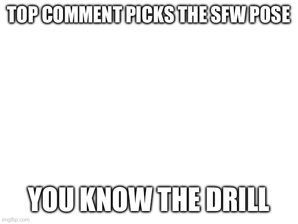 TOP COMMENT PICKS THE SFW POSE; YOU KNOW THE DRILL | made w/ Imgflip meme maker