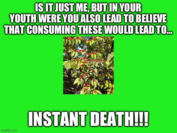 IS IT JUST ME, BUT IN YOUR YOUTH WERE YOU ALSO LEAD TO BELIEVE THAT CONSUMING THESE WOULD LEAD TO…; INSTANT DEATH!!! | made w/ Imgflip meme maker