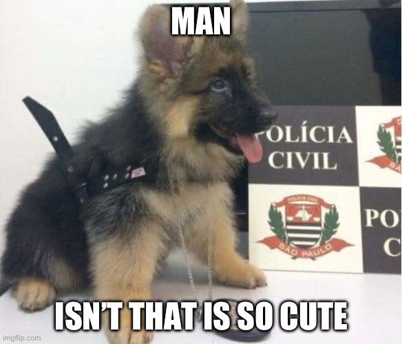 I CAN’T STOP LOOKING | MAN; ISN’T THAT IS SO CUTE | image tagged in police puppy dog | made w/ Imgflip meme maker