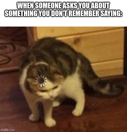 Happens to me a ton :l | WHEN SOMEONE ASKS YOU ABOUT SOMETHING YOU DON'T REMEMBER SAYING: | image tagged in loading cat | made w/ Imgflip meme maker