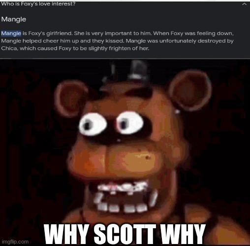 WHY? - Imgflip