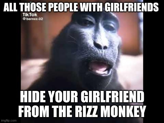 Hide your girlfriend from the rizz monkey | ALL THOSE PEOPLE WITH GIRLFRIENDS; HIDE YOUR GIRLFRIEND FROM THE RIZZ MONKEY | image tagged in funny memes,funny,memes,cool memes,haha,monkey | made w/ Imgflip meme maker