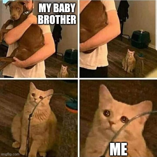 Why do they get more attention? | MY BABY BROTHER; ME | image tagged in sad cat holding dog | made w/ Imgflip meme maker