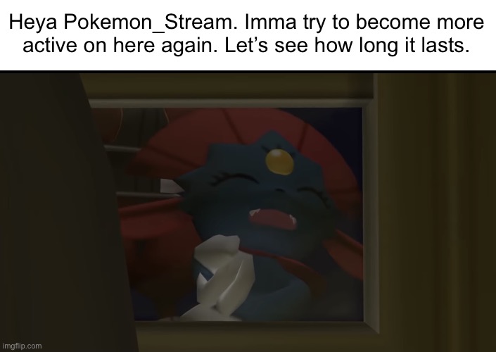 Weavile laughing through a window | Heya Pokemon_Stream. Imma try to become more active on here again. Let’s see how long it lasts. | image tagged in weavile laughing through a window | made w/ Imgflip meme maker