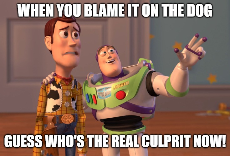 X, X Everywhere | WHEN YOU BLAME IT ON THE DOG; GUESS WHO'S THE REAL CULPRIT NOW! | image tagged in memes,x x everywhere | made w/ Imgflip meme maker