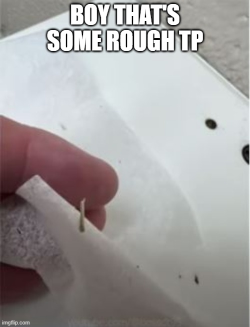 Toilet Paper is Getting Vicious | BOY THAT'S SOME ROUGH TP | image tagged in you had one job | made w/ Imgflip meme maker