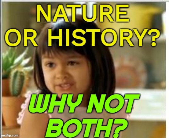 Nature Or History ? | NATURE OR HISTORY? WHY NOT 
BOTH? | image tagged in why not both,history,nature,religion,science,history of the world | made w/ Imgflip meme maker