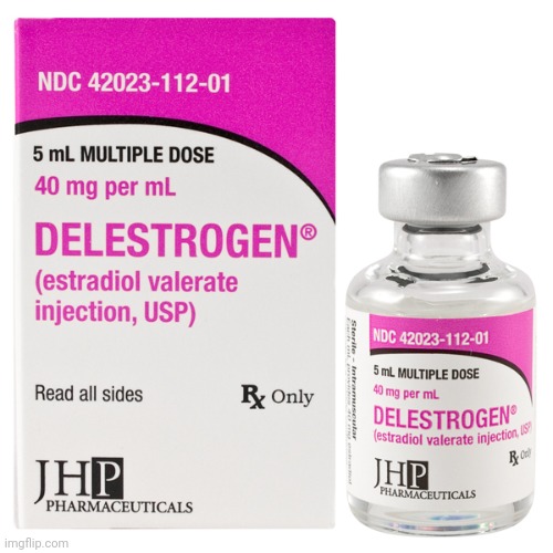 Delestrogen Estradiol Valerate | image tagged in delestrogen estradiol valerate | made w/ Imgflip meme maker