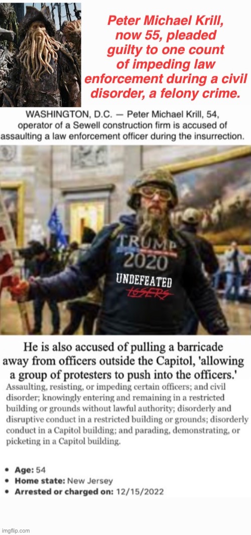 An Undefeated Loser Pleads | image tagged in assault,domestic terrorists,treason,tough guy when in a crowd,pleas please me | made w/ Imgflip meme maker