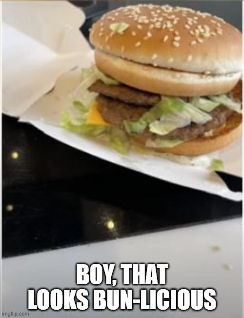 Big Ma...Mess | BOY, THAT LOOKS BUN-LICIOUS | image tagged in you had one job | made w/ Imgflip meme maker
