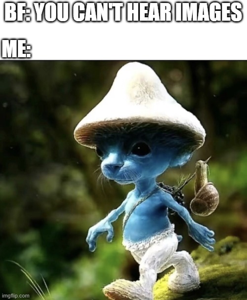Blue Smurf cat | BF: YOU CAN'T HEAR IMAGES; ME: | image tagged in blue smurf cat | made w/ Imgflip meme maker