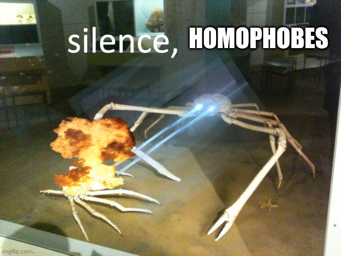 silence | HOMOPHOBES | image tagged in silence | made w/ Imgflip meme maker