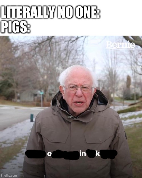 Oink | LITERALLY NO ONE:
PIGS: | image tagged in memes,bernie i am once again asking for your support | made w/ Imgflip meme maker