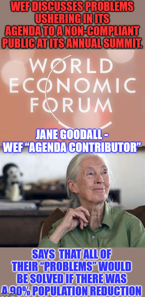 They admited in 2015 their global warming scheme... now they're talking about a 90% population reduction | WEF DISCUSSES PROBLEMS USHERING IN ITS AGENDA TO A NON-COMPLIANT PUBLIC AT ITS ANNUAL SUMMIT. JANE GOODALL - WEF “AGENDA CONTRIBUTOR”; SAYS  THAT ALL OF THEIR “PROBLEMS” WOULD BE SOLVED IF THERE WAS A 90% POPULATION REDUCTION | image tagged in nwo,genocide,climate change,hoax,ending,capitalism | made w/ Imgflip meme maker