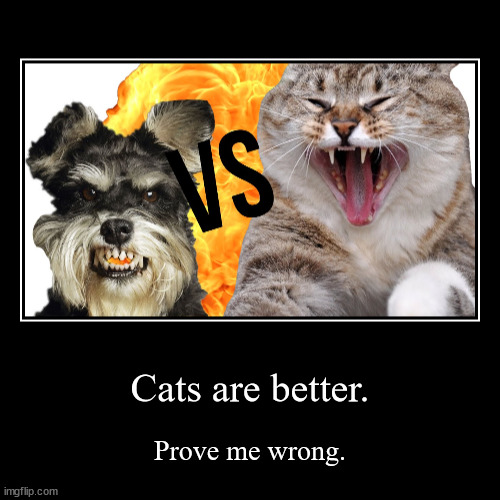 cats are better | Cats are better. | Prove me wrong. | image tagged in funny,demotivationals | made w/ Imgflip demotivational maker