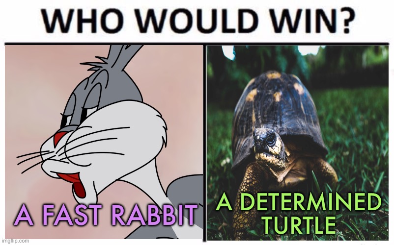 The Rabbit and the Turtle Story | A DETERMINED TURTLE; A FAST RABBIT | image tagged in memes,who would win,story,morals,morality,i like turtles | made w/ Imgflip meme maker