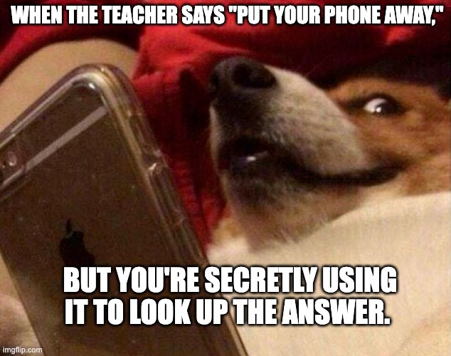 Dog phone | WHEN THE TEACHER SAYS "PUT YOUR PHONE AWAY,"; BUT YOU'RE SECRETLY USING IT TO LOOK UP THE ANSWER. | image tagged in dog phone | made w/ Imgflip meme maker