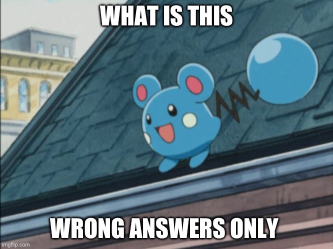 Azurill | WHAT IS THIS; WRONG ANSWERS ONLY | image tagged in azurill | made w/ Imgflip meme maker