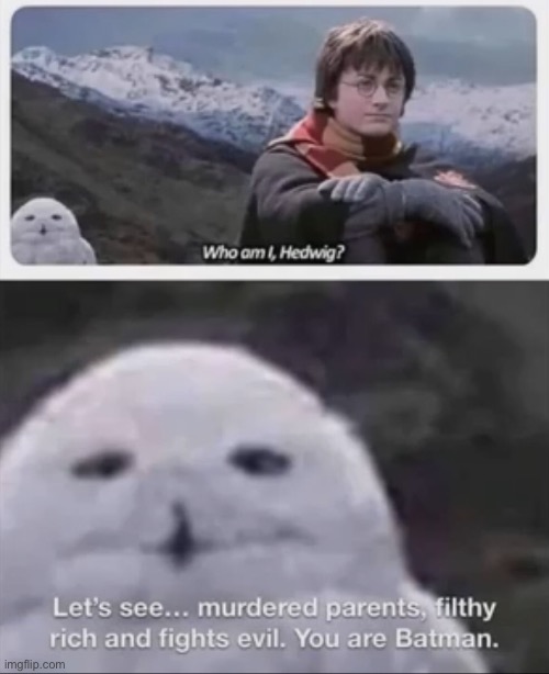 Well he’s not wrong | image tagged in harry potter,funny | made w/ Imgflip meme maker