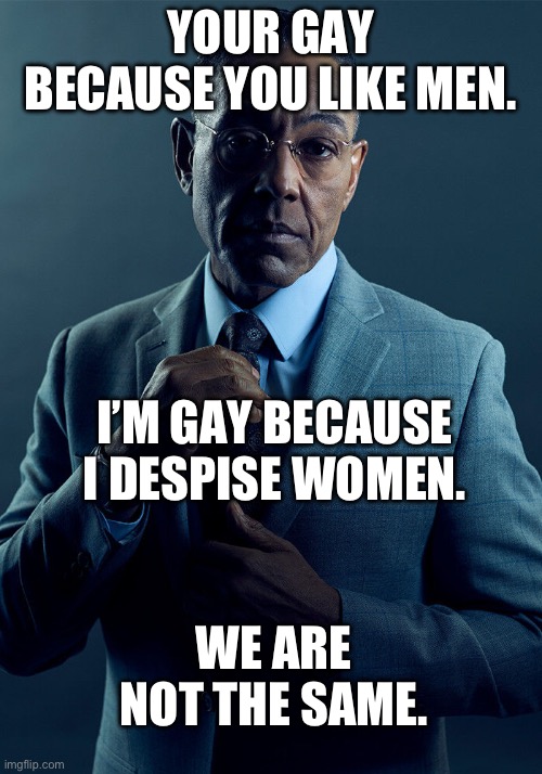 . | YOUR GAY BECAUSE YOU LIKE MEN. I’M GAY BECAUSE I DESPISE WOMEN. WE ARE NOT THE SAME. | image tagged in gus fring we are not the same | made w/ Imgflip meme maker