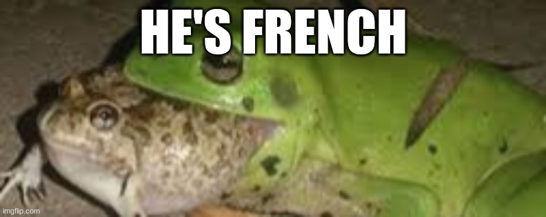 If the French eat frogs. then what if? | HE'S FRENCH | image tagged in french | made w/ Imgflip meme maker