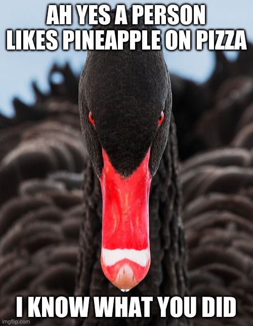 Lmao | AH YES A PERSON LIKES PINEAPPLE ON PIZZA; I KNOW WHAT YOU DID | image tagged in memes,black swan,swan,random,food,pineapple pizza | made w/ Imgflip meme maker