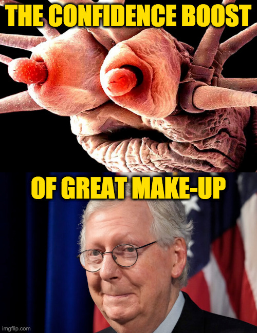 When lying is this good to you, well why not? | THE CONFIDENCE BOOST; OF GREAT MAKE-UP | image tagged in memes,mitch mcconnell,confidence | made w/ Imgflip meme maker