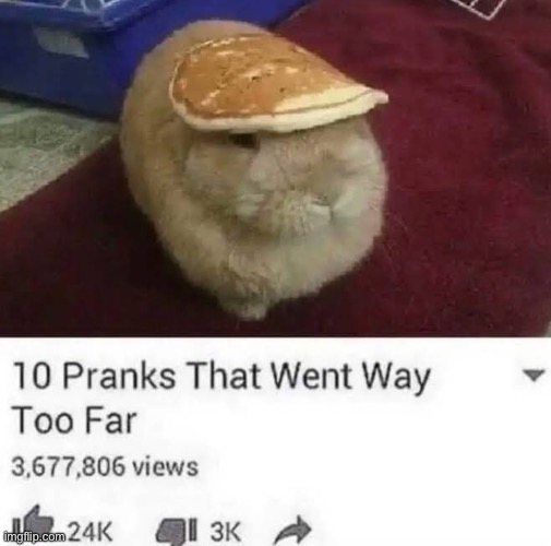 the bunny did not deserve this | made w/ Imgflip meme maker