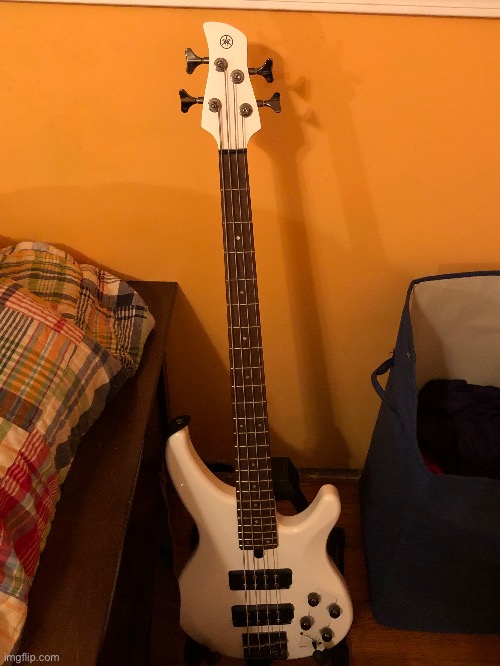 My new bass guitar | image tagged in bass,guitar,music | made w/ Imgflip meme maker