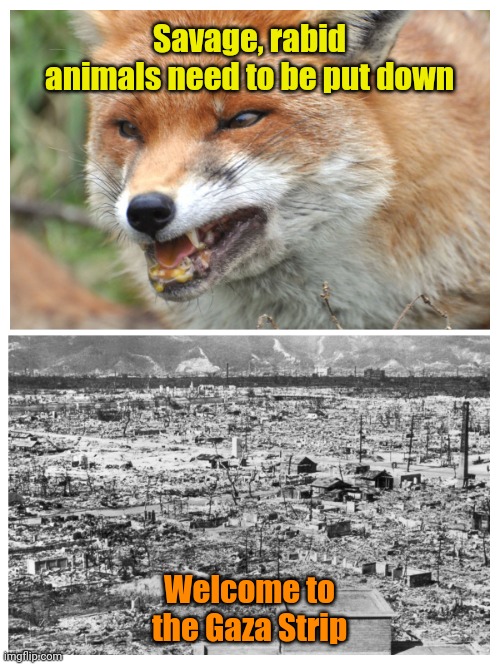 It's the humane thing to do. | Savage, rabid animals need to be put down; Welcome to the Gaza Strip | made w/ Imgflip meme maker