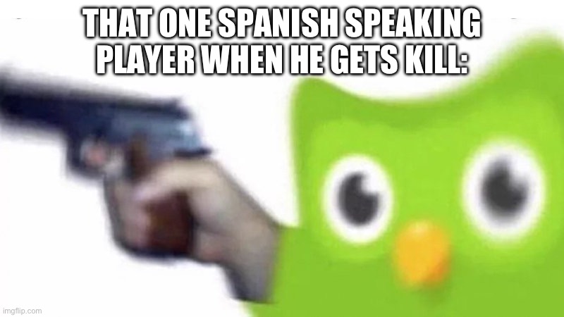 Funny | THAT ONE SPANISH SPEAKING PLAYER WHEN HE GETS KILL: | image tagged in evil duolingo owl,gaming | made w/ Imgflip meme maker